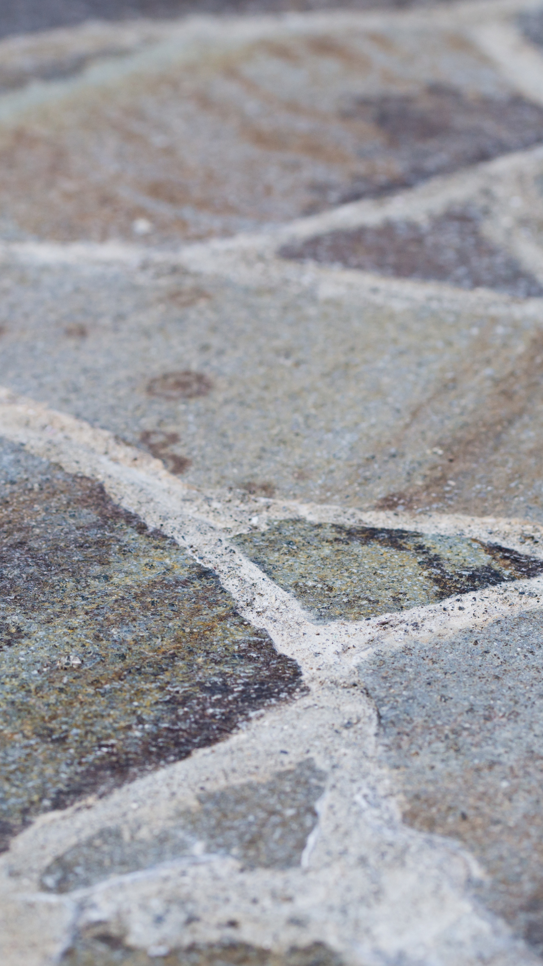 Three-Color Flagstone